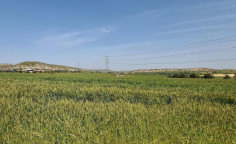 For sale, land, field, Nicosia, margi, 2,007m&sup2;, &euro;10,000 