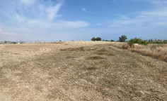 For sale, land, field, Larnaca, Livadia, 2,036m&sup2;, &euro;40,000 , Larnaca