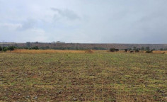 For sale, land, Nicosia, orounta, 11,706m&sup2;, &euro;45,000 