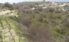 For sale, land, Paphos, Kelokedara, 669m&sup2;, &euro;500 
