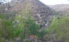For sale, land, Limassol, agios therapon, 37,459m&sup2;, &euro;30,000 