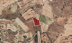 Agricultural 3639 m2 for sale in Pachna
