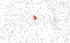 Agricultural 3639 m2 for sale in Pachna