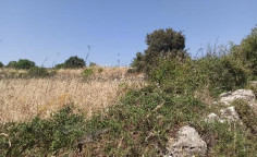 For sale, land, field, Limassol, Pachna, 3,639m&sup2;, &euro;11,000 
