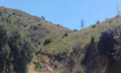 For sale, land, Larnaca, ora, 3,345m&sup2;, &euro;3,000 
