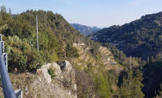 For sale, land, Limassol, agridia, 19,399m&sup2;, &euro;24,000 