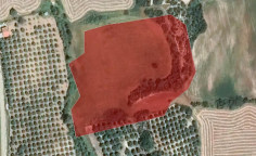 For sale, land, Larnaca, Agios Theodoros, 11,706m&sup2;, &euro;42,000 