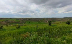 For sale, land, Nicosia, Psimolofou, 11,121m&sup2;, &euro;45,000 