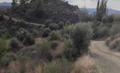 For sale, land, Larnaca, lageia, 7,358m&sup2;, &euro;35,000 