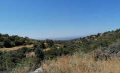 For sale, land, Paphos, Tala, 6,689m&sup2;, &euro;34,000 