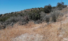 For sale, land, Paphos, Tala, 521m&sup2;, &euro;2,500 