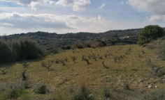For sale, land, Paphos, Psathi, 3,926m², €20,000 For sale, land, Paphos, Psathi, 3,926m², €20,000