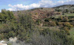 For sale, land, Paphos, Psathi, 7,358m², €16,000 For sale, land, Paphos, Psathi, 7,358m², €16,000