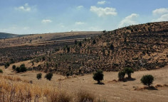 For sale, land, Nicosia, Lympia, 13,044m&sup2;, &euro;16,000 