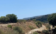 For sale, land, Paphos, Polemi, 12,041m&sup2;, &euro;24,000 