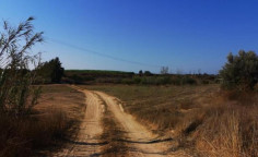 For sale, land, Famagusta, Frenaros, 4,683m&sup2;, &euro;40,000 