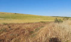For sale, land, field, Nicosia, Astromeritis, 4,348m&sup2;, &euro;50,000 