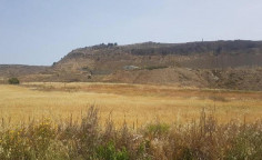 For sale, land, Larnaca, Pyla, 16,054m&sup2;, &euro;10,000 