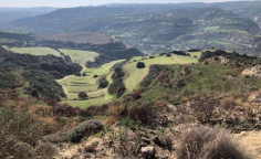 For sale, land, Paphos, Skoulli, 8,771m&sup2;, &euro;35,000 