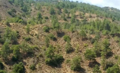 For sale, land, Nicosia, kalopanagiotis, 4,683m&sup2;, &euro;14,000 