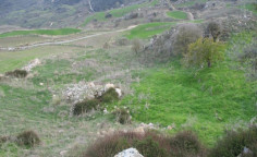 For sale, land, Paphos, Drouseia, 9,365m&sup2;, &euro;21,000 , Paphos
