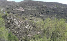 For sale, land, Limassol, Potamiou, 3,513m&sup2;, &euro;3,000 