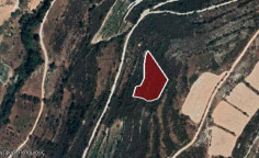 For sale, land, Limassol, Potamiou, 3,513m&sup2;, &euro;3,000 