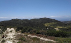 For sale, land, Paphos, Akoursos, 22,409m&sup2;, &euro;31,000 