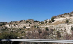 For sale, land, Paphos, Choulou, 13,044m&sup2;, &euro;10,000 