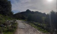 For sale, land, Paphos, lemona, 9,031m&sup2;, &euro;20,000 