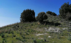 For sale, land, Paphos, lemona, 9,031m&sup2;, &euro;20,000 