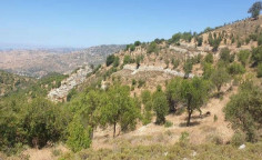 For sale, land, Limassol, Dora, 10,118m&sup2;, &euro;15,000 