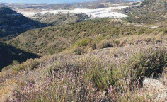 For sale, land, field, Limassol, Asgata, 66,891m&sup2;, &euro;100,000 