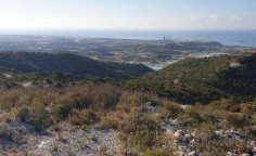 For sale, land, field, Limassol, Asgata, 66,891m&sup2;, &euro;100,000 