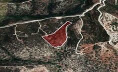 For sale, land, Paphos, Akoursos, 18,172m&sup2;, &euro;25,000 