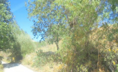 For sale, land, Paphos, Armou, 21,405m&sup2;, &euro;110,000 