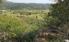 For sale, land, field, Limassol, Potamiou, 4,593m&sup2;, &euro;11,000 