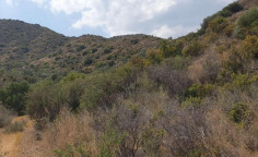 For sale, land, Limassol, Vasa Kellakiou, 9,700m&sup2;, &euro;10,000 