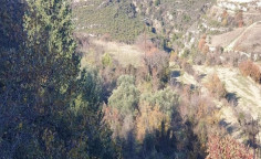 For sale, land, Limassol, agios therapon, 2,342m&sup2;, &euro;45,000 , Limassol