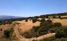 For sale, land, field, Paphos, tera, 6,021m&sup2;, &euro;21,000 