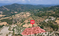 For sale, land, field, Paphos, Lysos, 9,031m&sup2;, &euro;55,000 