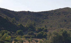 For sale, land, field, Limassol, sanida, 9,699m&sup2;, &euro;20,000 