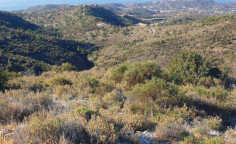 For sale, land, field, Limassol, Asgata, 28,094m&sup2;, &euro;70,000 