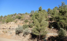 For sale, land, Limassol, Kalo Chorio, 7,024m&sup2;, &euro;25,000 