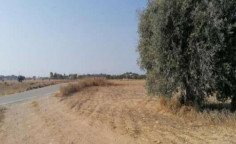 For sale, land, field, Larnaca, Mazotos, 16,545m&sup2;, &euro;13,000 