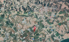 For sale, land, field, Larnaca, Mazotos, 16,545m&sup2;, &euro;13,000 