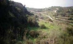 For sale, land, Paphos, Tsada, 10,824m&sup2;, &euro;24,000 