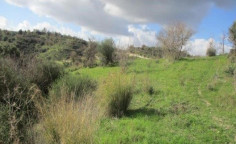 For sale, land, Paphos, Letymvou, 6,689m&sup2;, &euro;12,000 