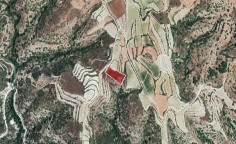 For sale, land, Paphos, Letymvou, 6,689m&sup2;, &euro;12,000 