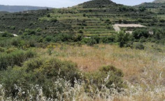 For sale, land, field, Limassol, Pachna, 5,686m&sup2;, &euro;14,000 